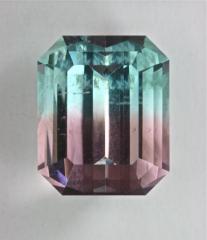 Great Blue/Pink bi-color from Afghanistan