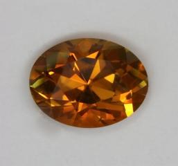 Darker golden oval with moderate flash