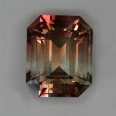 A rust and cream bicolor, bright and fun emerald cut.