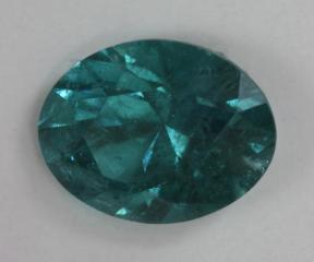 Included blue oval