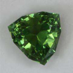 A fine smaller shield with stable green color