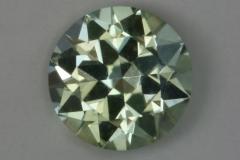 bright light yellow green IceT member of the droplet team