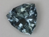 Great Grayed Blue Shield Cut