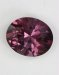 One feather well hidden by a rich purple color,  oval.  #533