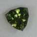 Eye clean shield cut that has a green color with a yellow modifier.  #558