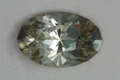 Tray 21