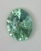 Included bright blue green oval