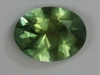 Spicy yellow green oval. #232