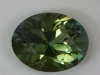 Very pale ends and moderate yellow green colored oval. #242
